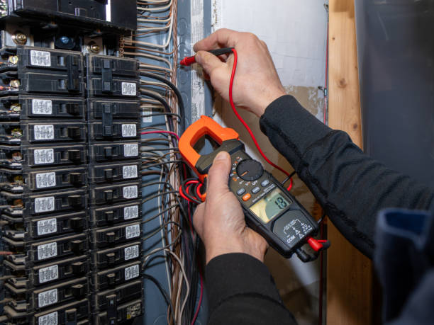 Best Electric Panel Repair  in Dunlap, IL